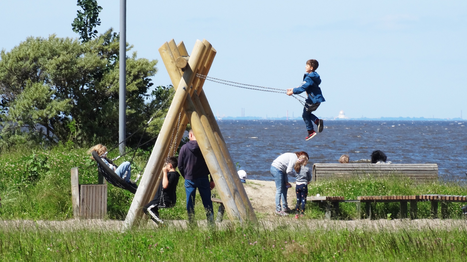 Парголово расстроят на 50 гектаров