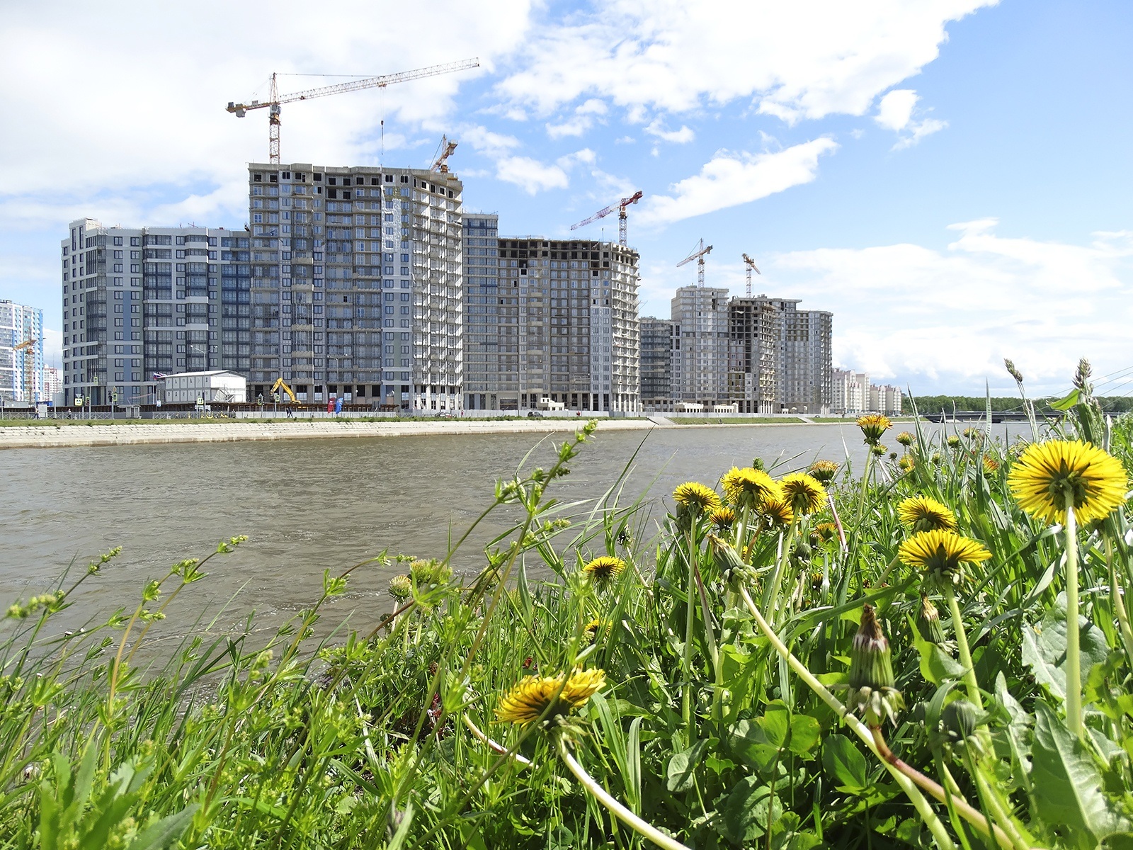 Прогноз новостроек на 2025
