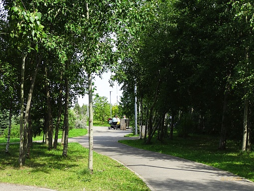 БФА Огни Залива, вид, набережная
