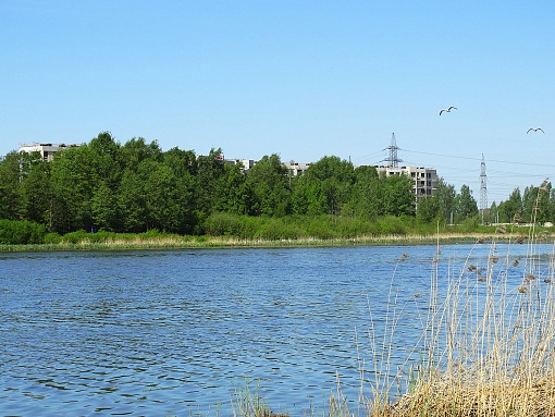 БФА В ОЗЕРКАХ, вид со стороны озера