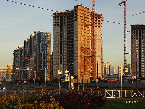 БФА Огни Залива, уч. 269, вид со стороны залива