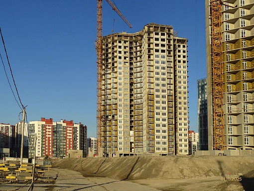 БФА Огни Залива, уч. 269, вид в сторону Ленинского пр.