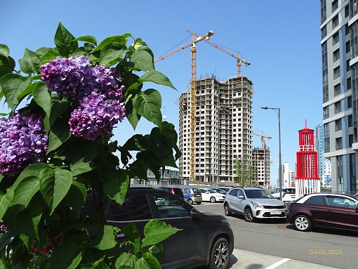 БФА Огни Залива, уч. 270, вид в сторону Дудергофского канала