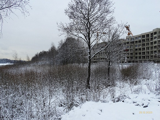 БФА В ОЗЕРКАХ, вид со стороны озера