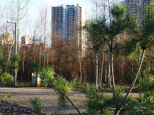 БФА Огни Залива, уч. 269, вид со стороны залива