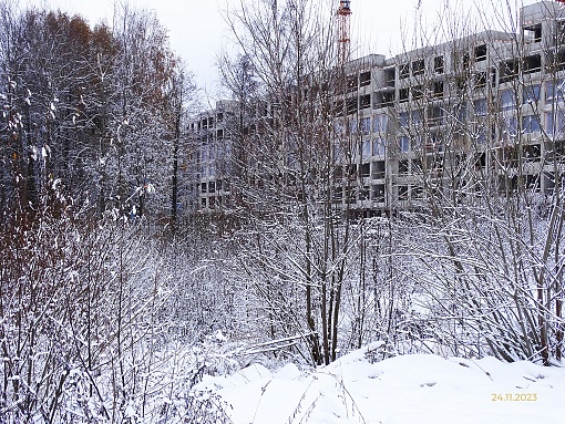 БФА В ОЗЕРКАХ, вид со стороны озера