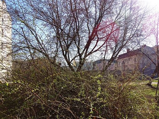 БФА, клубный дом Дуалист, Курский сквер