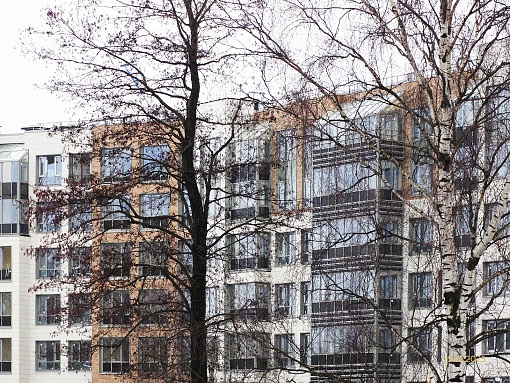 БФА В ОЗЕРКАХ, фрагмент фасада со стороны озера