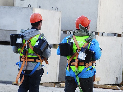 БФА Огни Залива