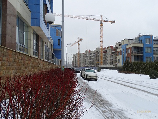 БФА В ОЗЕРКАХ, вид со стороны квартала Новая Скандинавия
