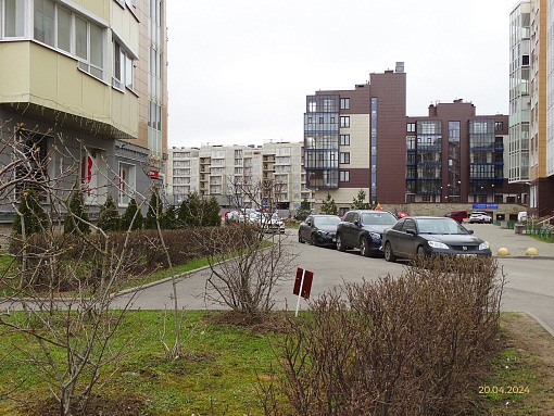 БФА В ОЗЕРКАХ, вид со стороны въезда в квартал