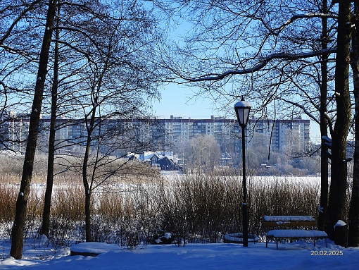 БФА в Озерках, вид на озеро
