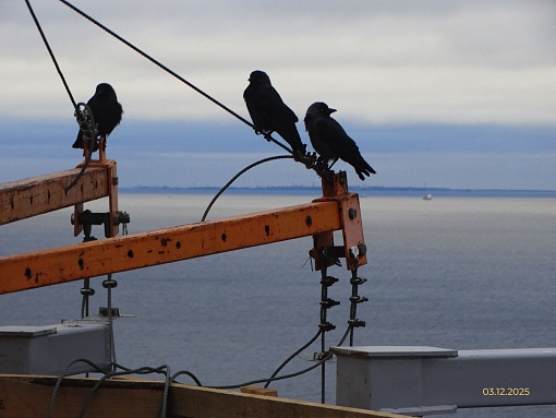 БФА Огни Залива, 4 строительная площадка