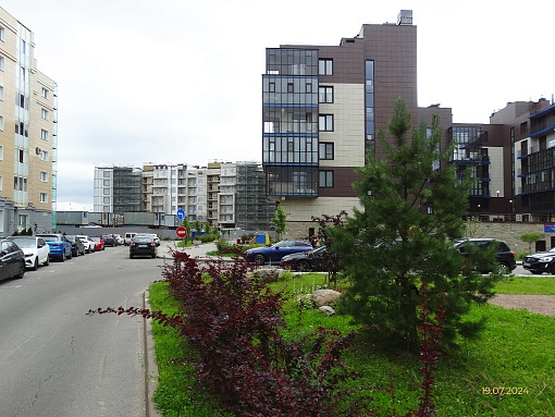 БФА В ОЗЕРКАХ, вид со стороны квартала