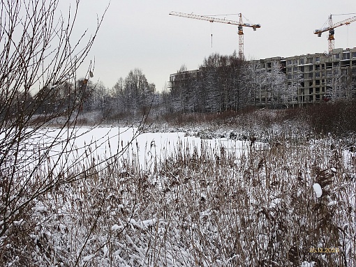 БФА В ОЗЕРКАХ, вид со стороны озера