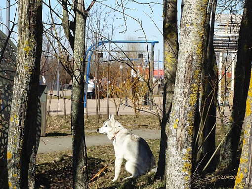 БФА Огни Залива, окружение