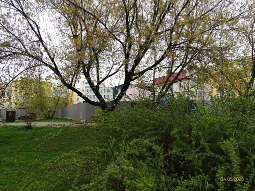 БФА Дуалист, вид со стороны сквера