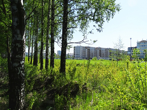 БФА В ОЗЕРКАХ, вид со стороны железной дороги