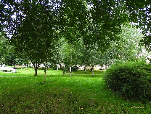 БФА Дуалист, Курский сквер