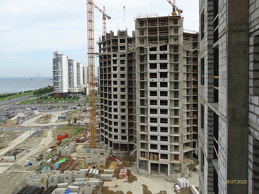 БФА Огни Залива, участок 269, вид со стороны участка 270