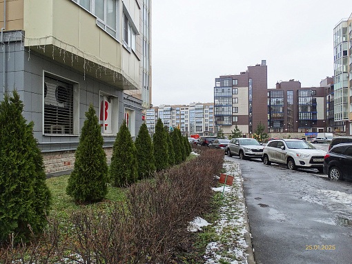 БФА В ОЗЕРКАХ, вид со стороны квартала