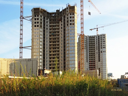 БФА Огни Залива, уч. 270, вид в сторону канала