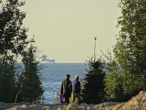 БФА Огни Залива, 4 очередь, вид со стилобата